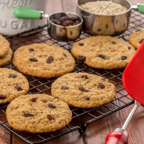 or rack red green2 500x500 480x480 1